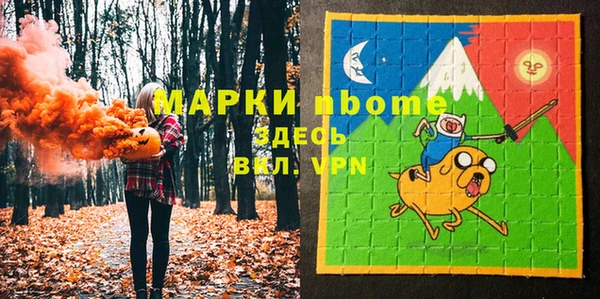 индика Алексин