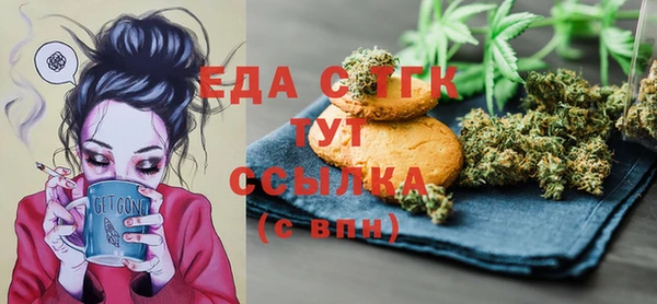 индика Алексин