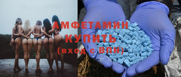 индика Алексин