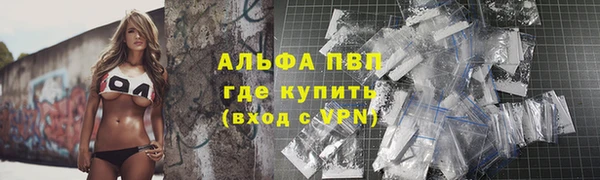 индика Алексин