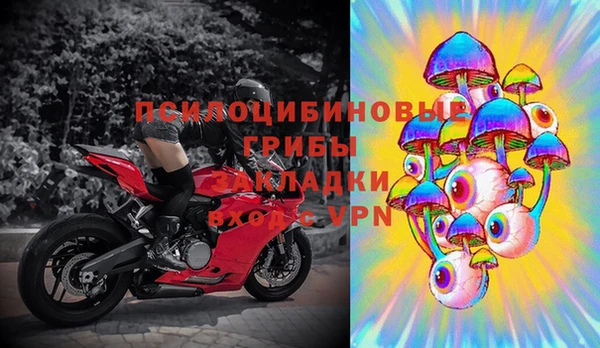 2c-b Алзамай