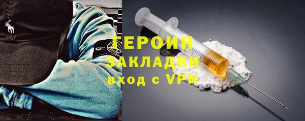 индика Алексин